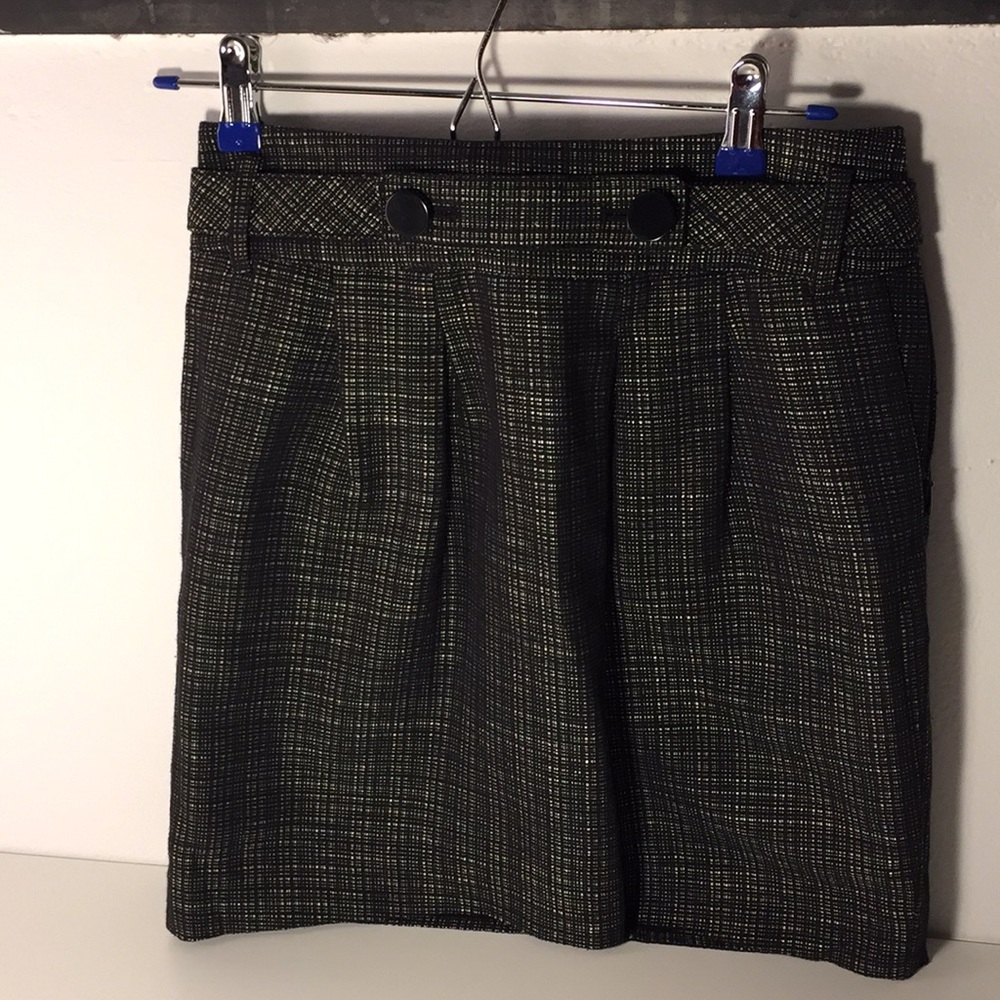 Ann Taylor Petites Skirt